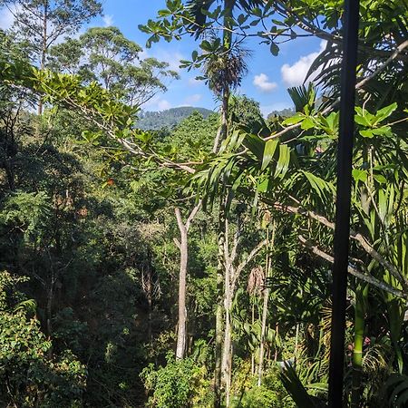 Ella Jungle Inn Homestay And Tree House 外观 照片