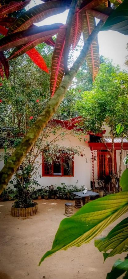 Ella Jungle Inn Homestay And Tree House 外观 照片