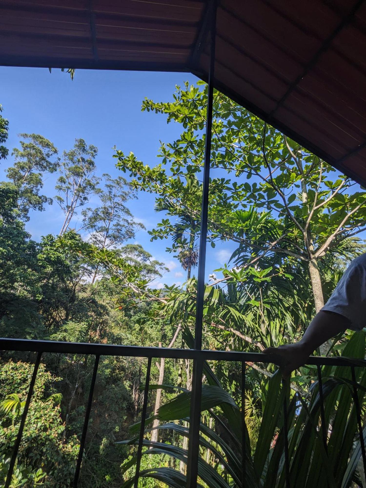 Ella Jungle Inn Homestay And Tree House 外观 照片