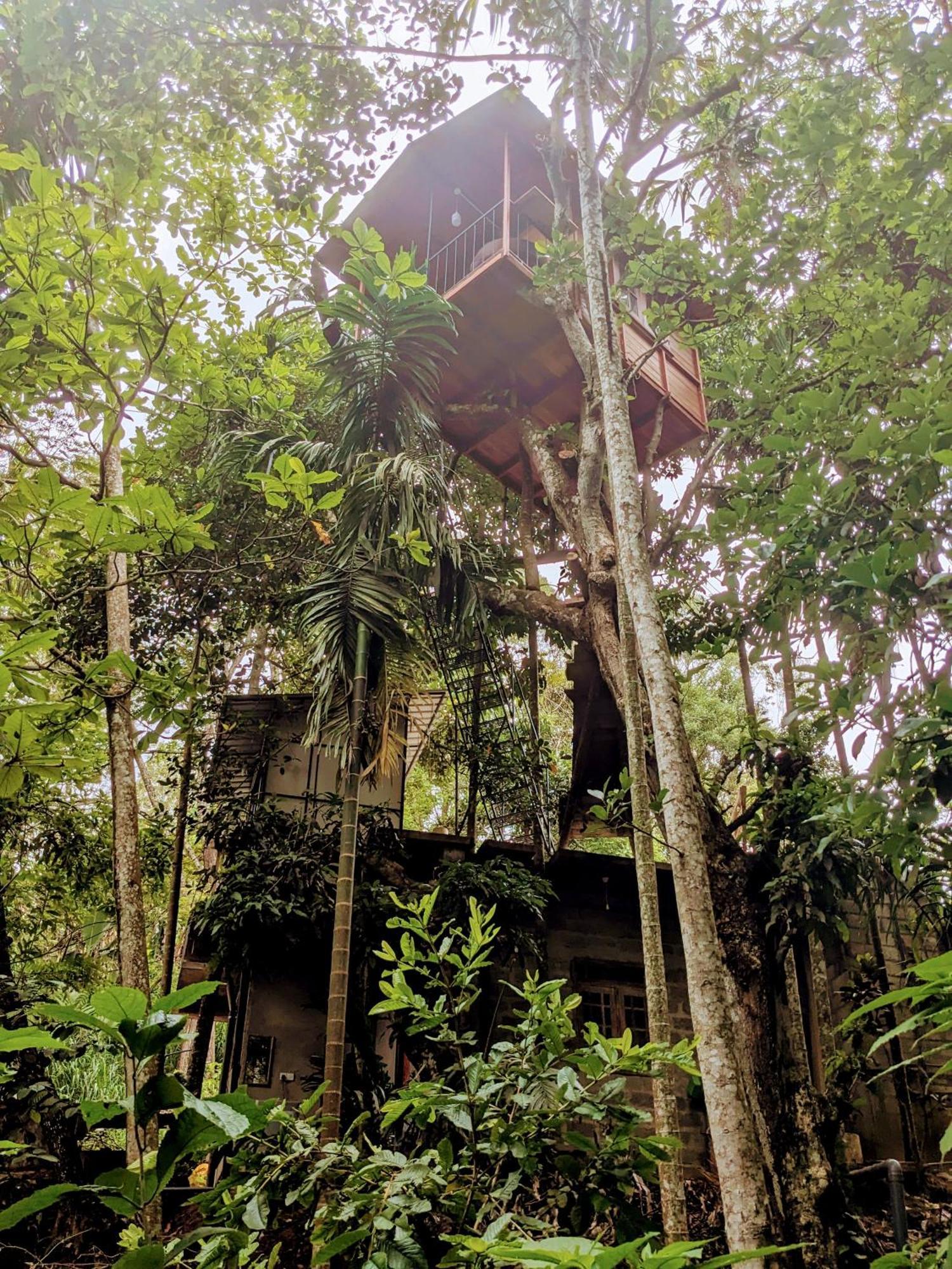 Ella Jungle Inn Homestay And Tree House 外观 照片