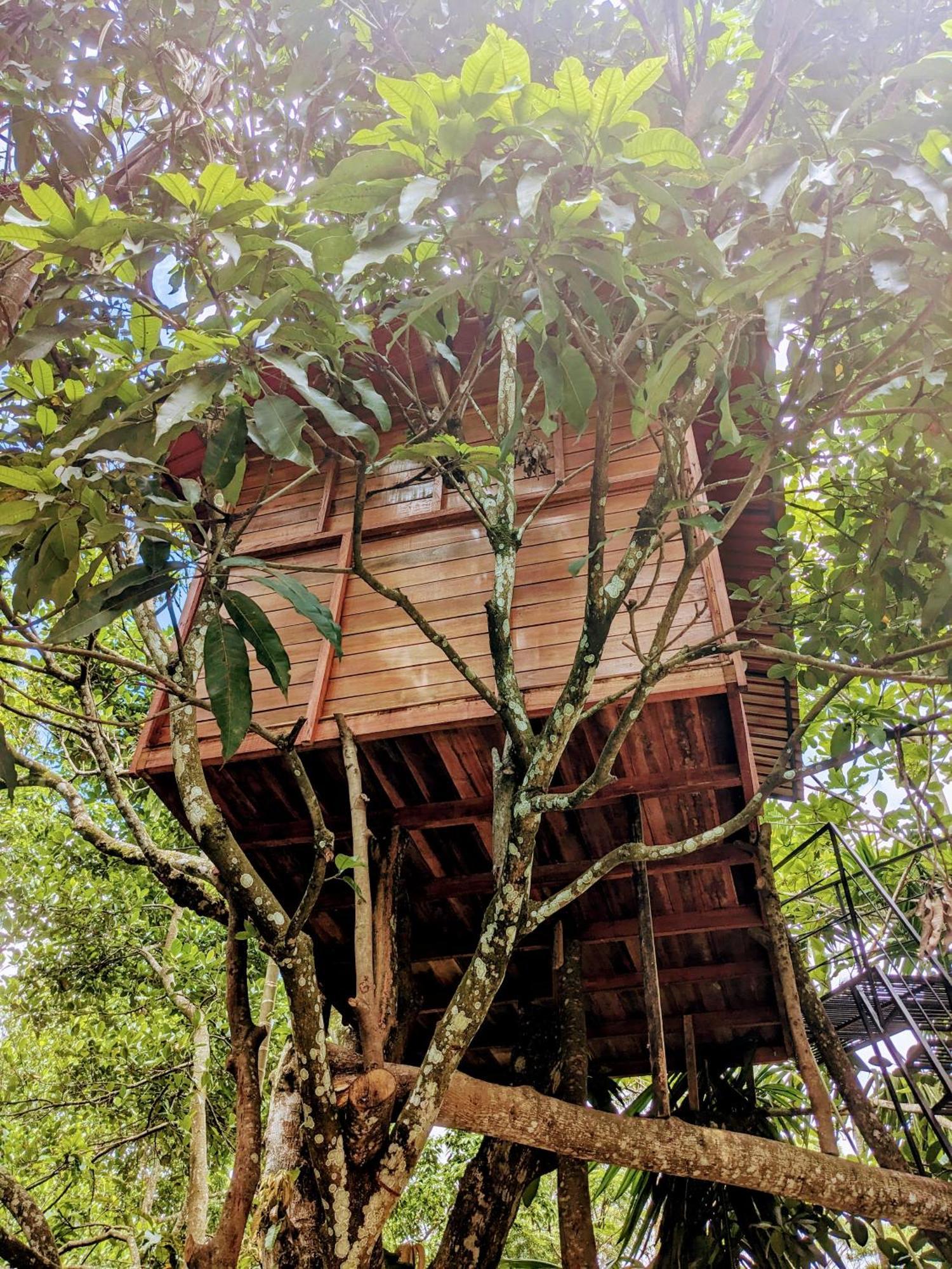 Ella Jungle Inn Homestay And Tree House 外观 照片