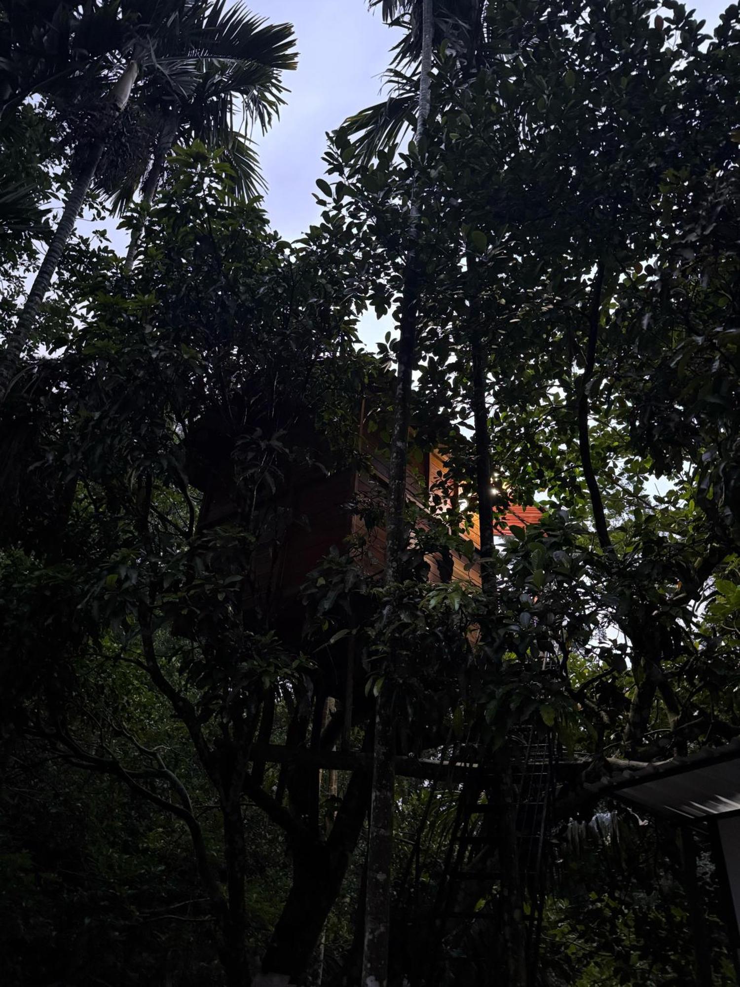 Ella Jungle Inn Homestay And Tree House 外观 照片