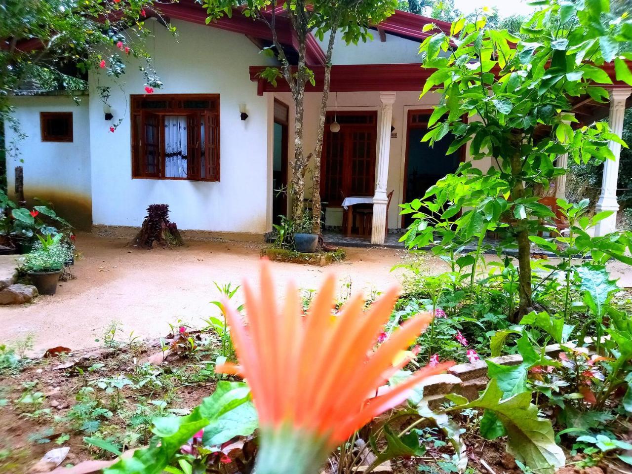 Ella Jungle Inn Homestay And Tree House 外观 照片