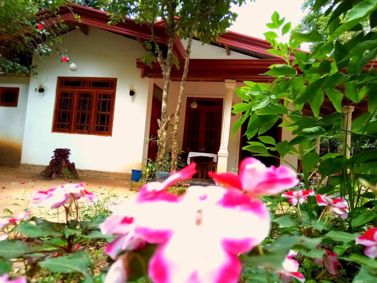 Ella Jungle Inn Homestay And Tree House 外观 照片