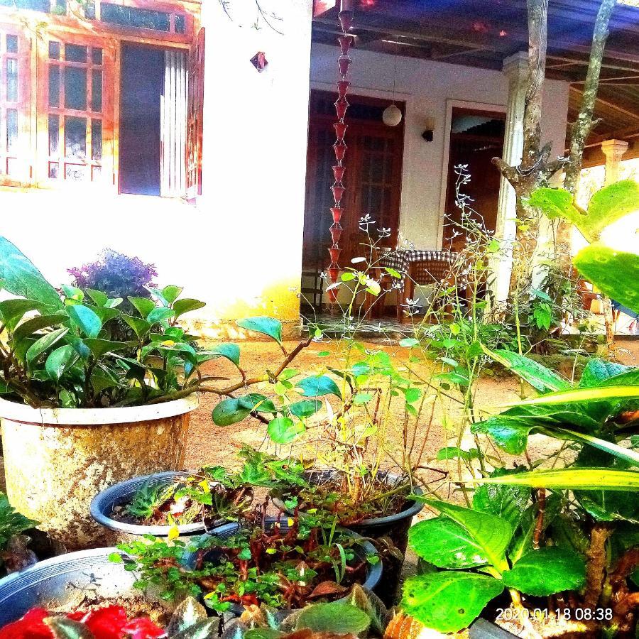 Ella Jungle Inn Homestay And Tree House 外观 照片